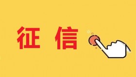 个人征信报告详版解读